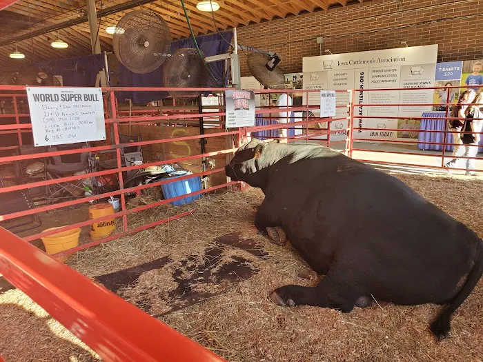 Iowa State Fair Campgrounds 6