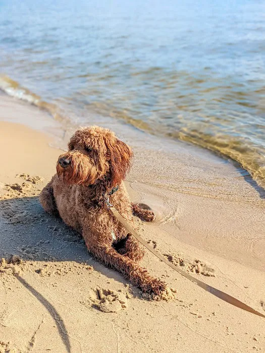 Muskegon State Park Beach Campground 9