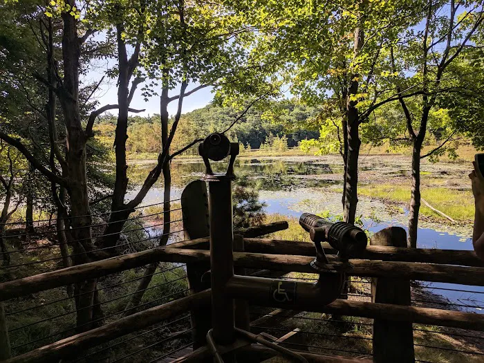 Muskegon State Park Beach Campground 7