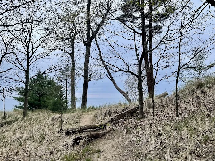 Muskegon State Park Beach Campground 10