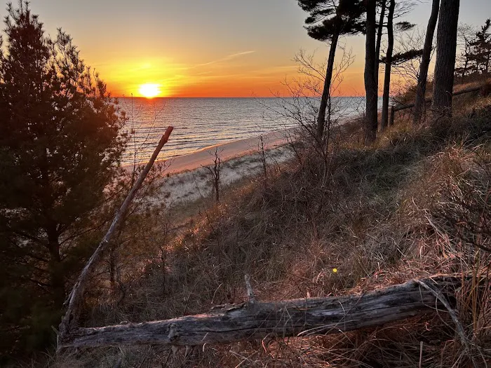 Pioneer Park Campground 10