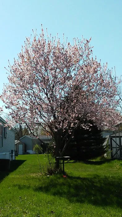Meadowview Village mobile home park 1