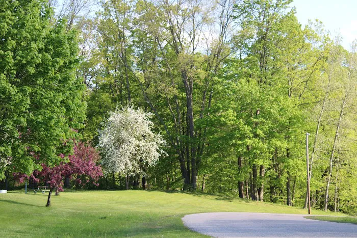 Ed H. Henning County Park 5