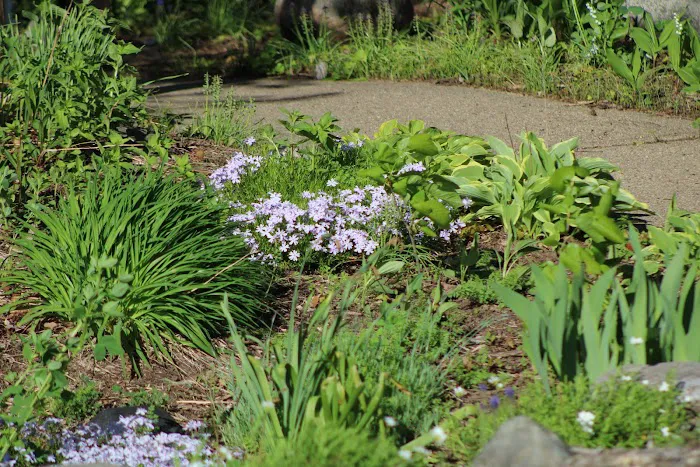 Ed H. Henning County Park 9