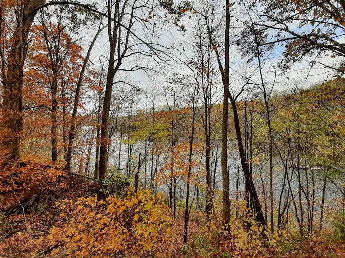 Ed H. Henning County Park 7
