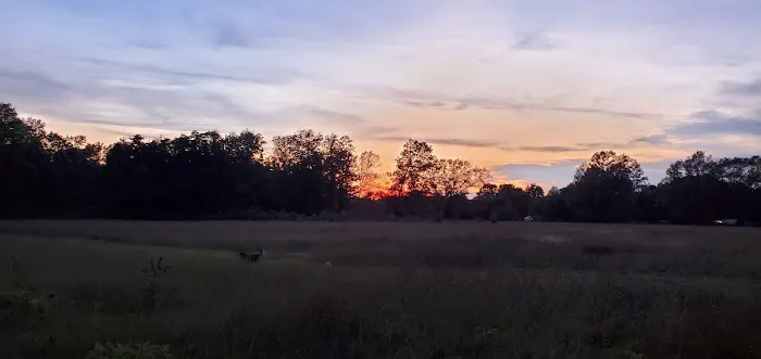 Oak Meadows 5