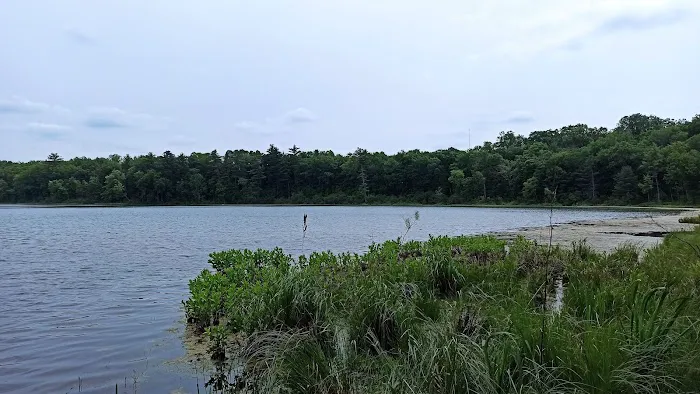 Twinwood Lake Campground 2