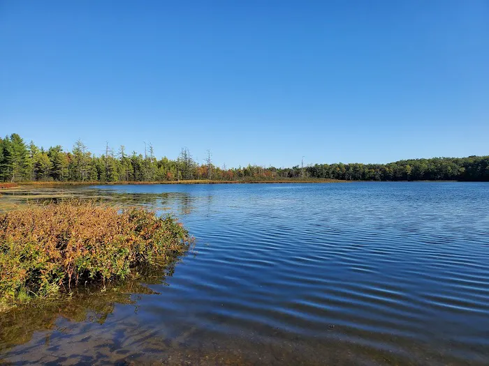 Twinwood Lake Campground 3