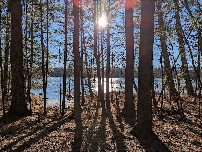 Twinwood Lake Campground 4