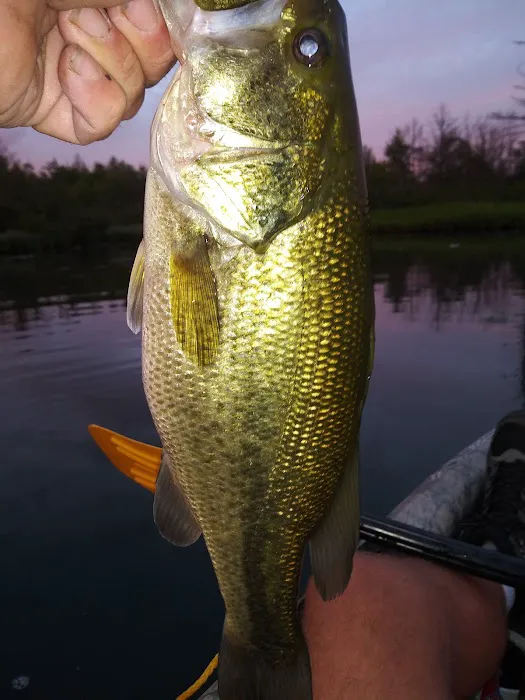 Twinwood Lake Campground 8