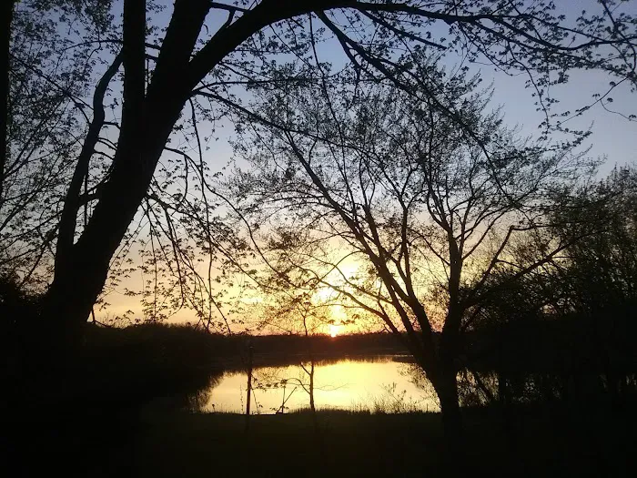 Moon Lake Estates 7