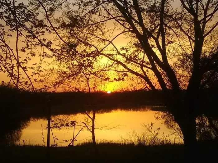 Moon Lake Estates 10