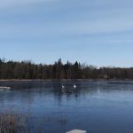 Colby Lake Home Sales/Quiet Cove Park