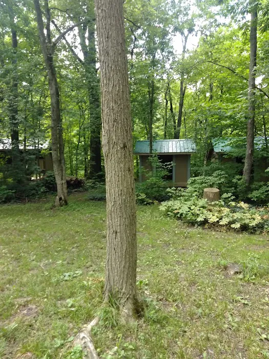 Tymochtee Creek Youth Camp 2