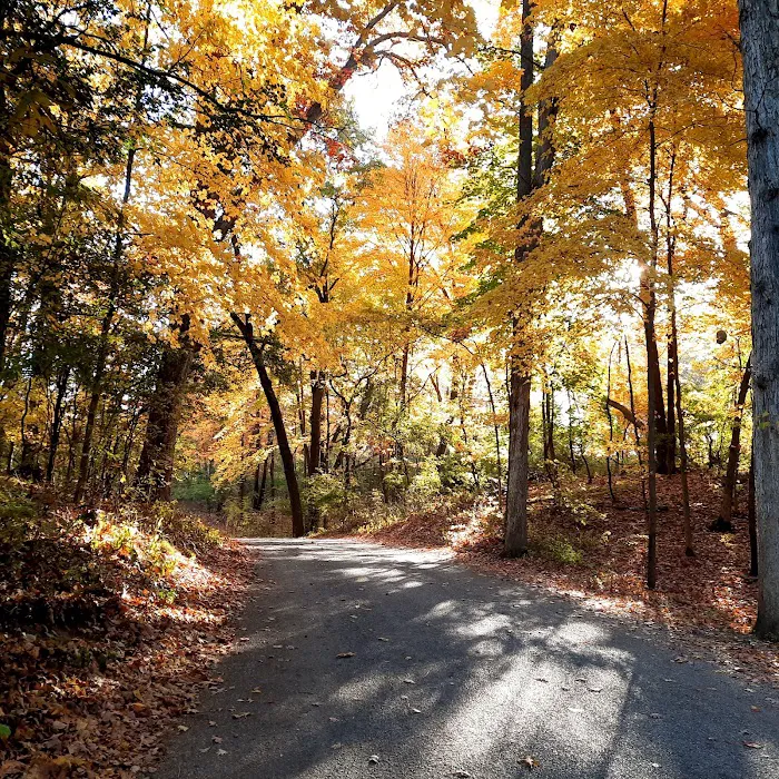 Hayes State Park Campground-West Loop 6