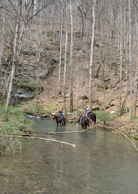 Come Again Horse Camp 2