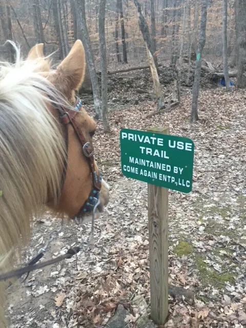 Come Again Horse Camp 8