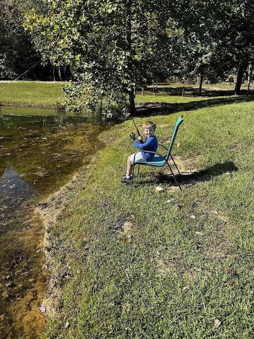 Lake view camping 6