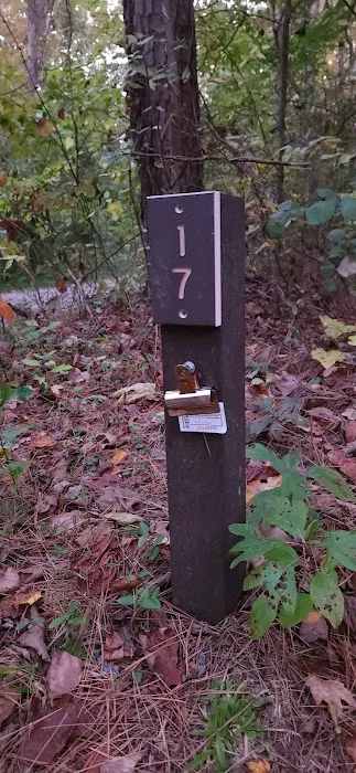 German Ridge Campground 6