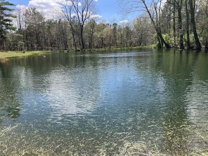 Windy Hollow Campground(camp*fish*swim) 5