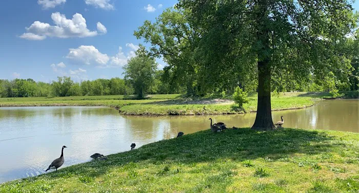 Cherokee Lakes Campground 2