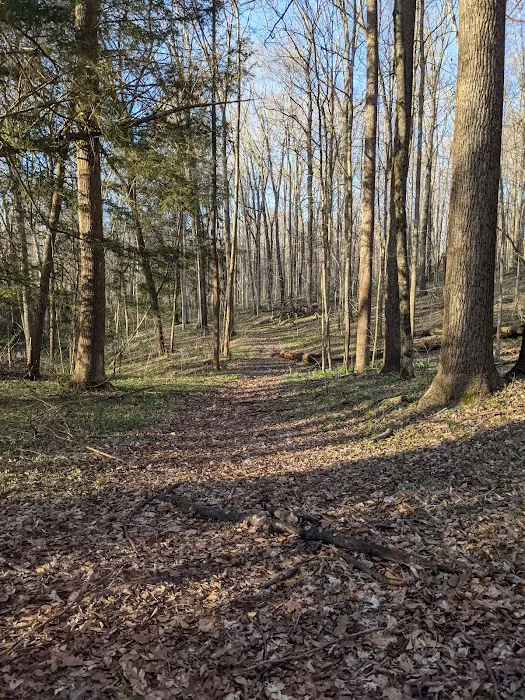 Deer Creek Campground 10