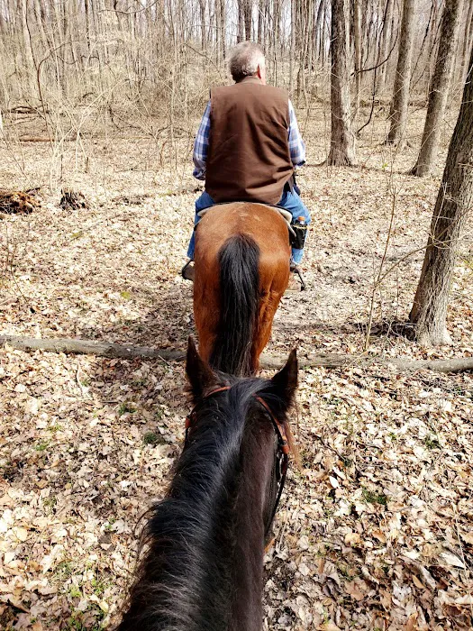 Hueston Woods State Park Horse Camp 3
