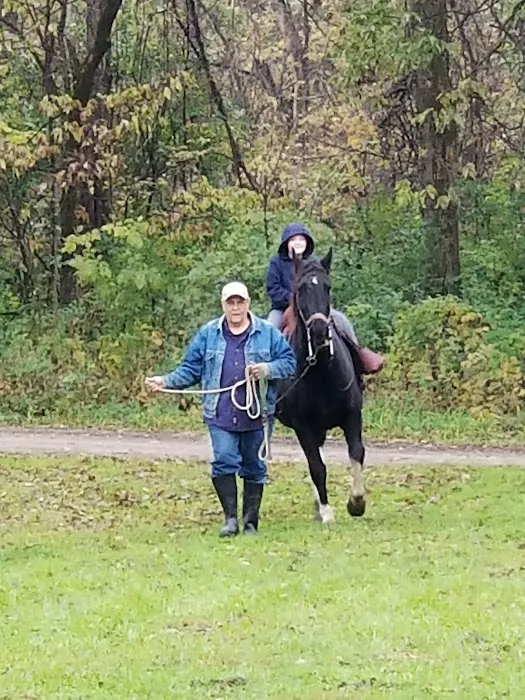 Hueston Woods State Park Horse Camp 10