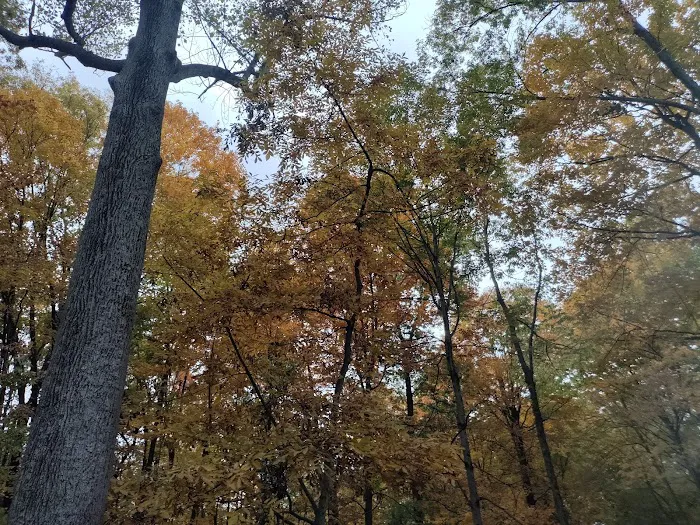 Deer Run Property Owners Association 1