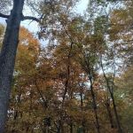 Deer Run Property Owners Association