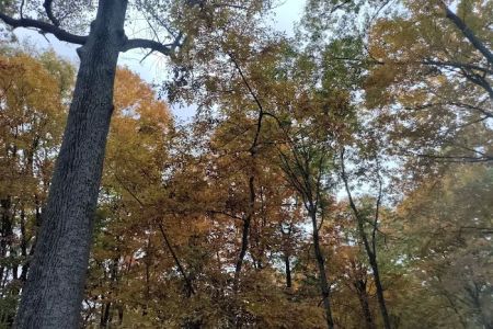 Deer Run Property Owners Association