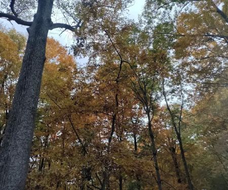 Deer Run Property Owners Association