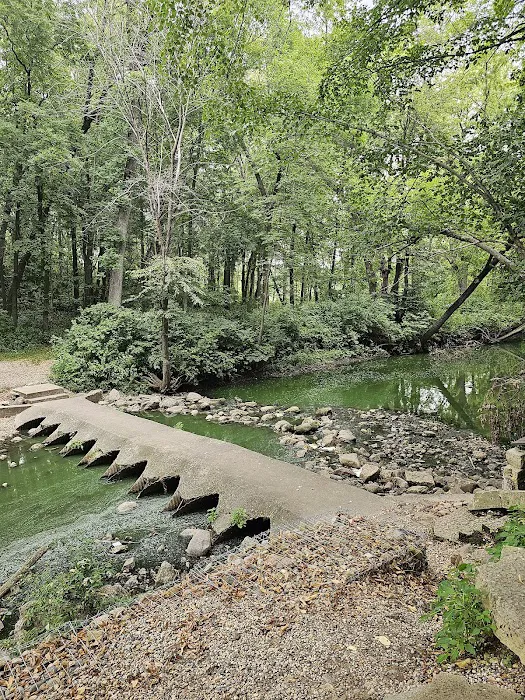 Beeds Lake Campground 4