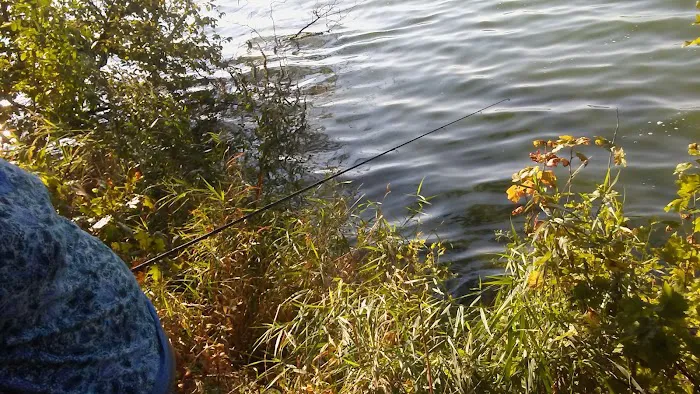 Silver Lake County Park 7