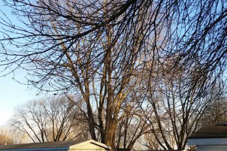 Shady Grove Community
