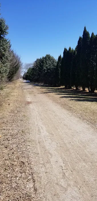 Hammond Estates 6