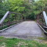 Coon Fork Campground