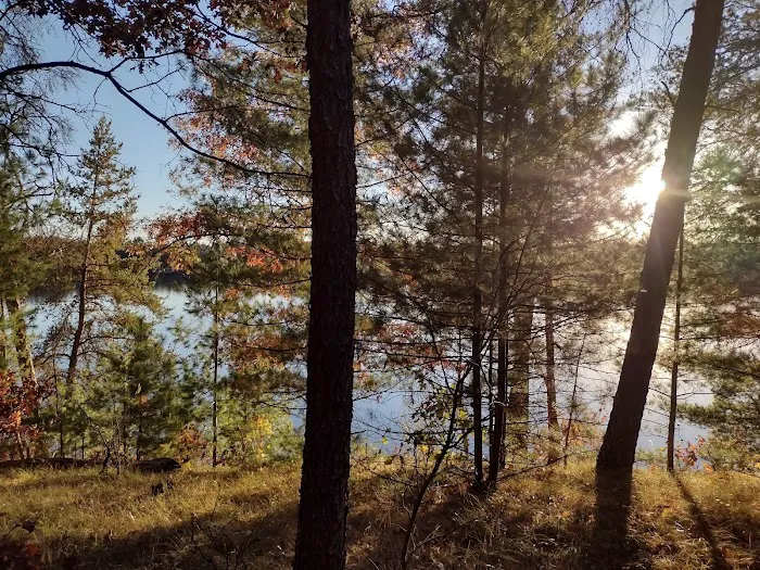 Coon Fork Campground 7