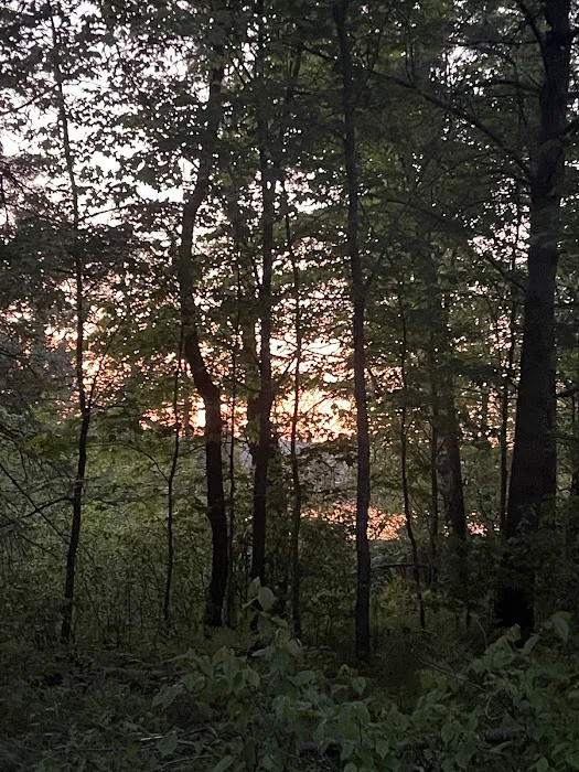Coon Fork Campground 9