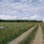 Crandon Country Camping - Hilltop Meadow