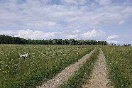 Crandon Country Camping - Hilltop Meadow