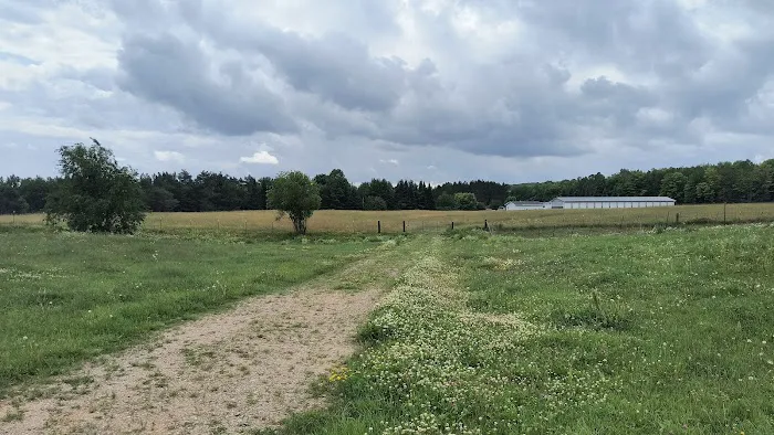 Crandon Country Camping 4