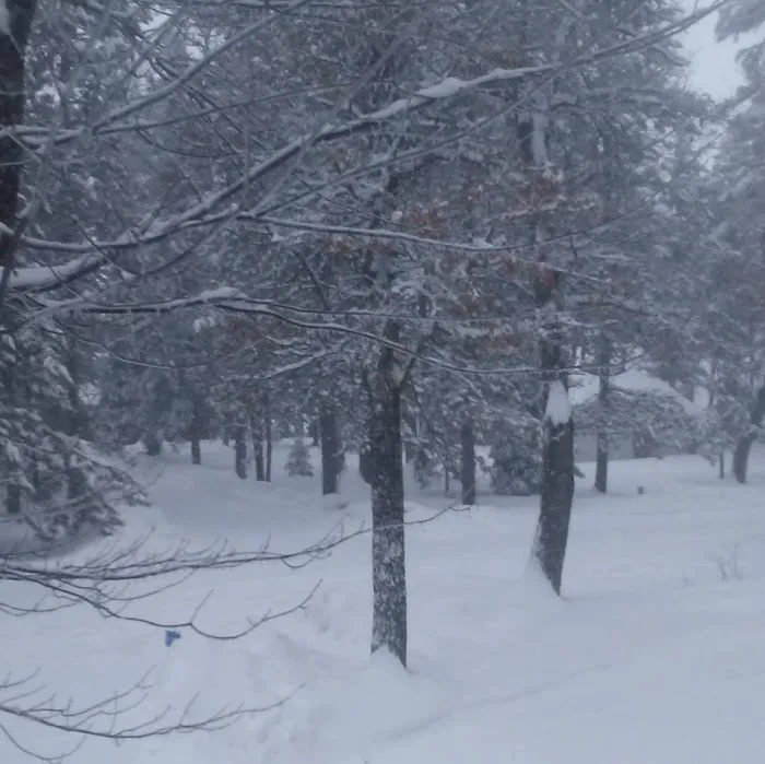 Oakridge Campgrounds 7