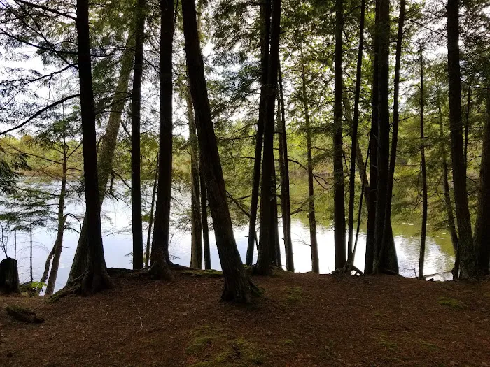 Laura Lake Campground 3