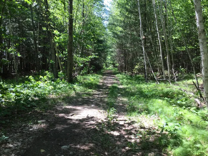 Laura Lake Campground 5