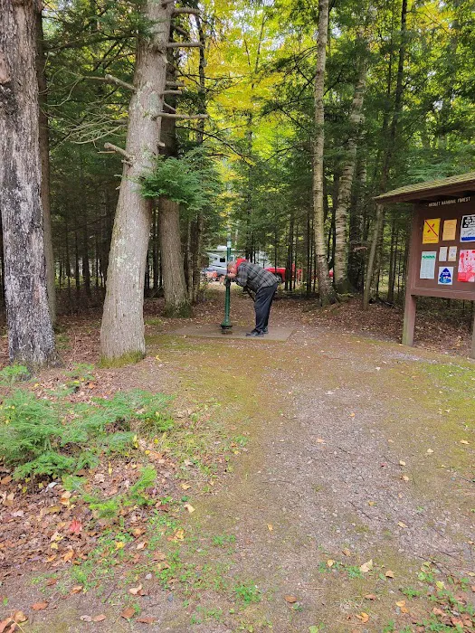 Laura Lake Campground 9