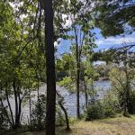 Sturgeon Bend Campground