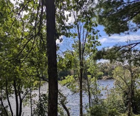 Sturgeon Bend Campground