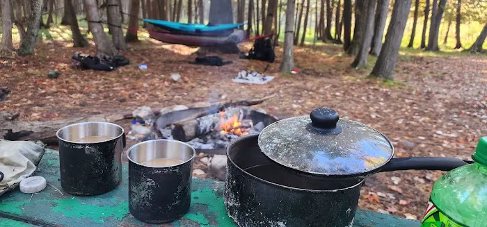 Veterans Park Campground 6