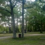 Park Place of the North